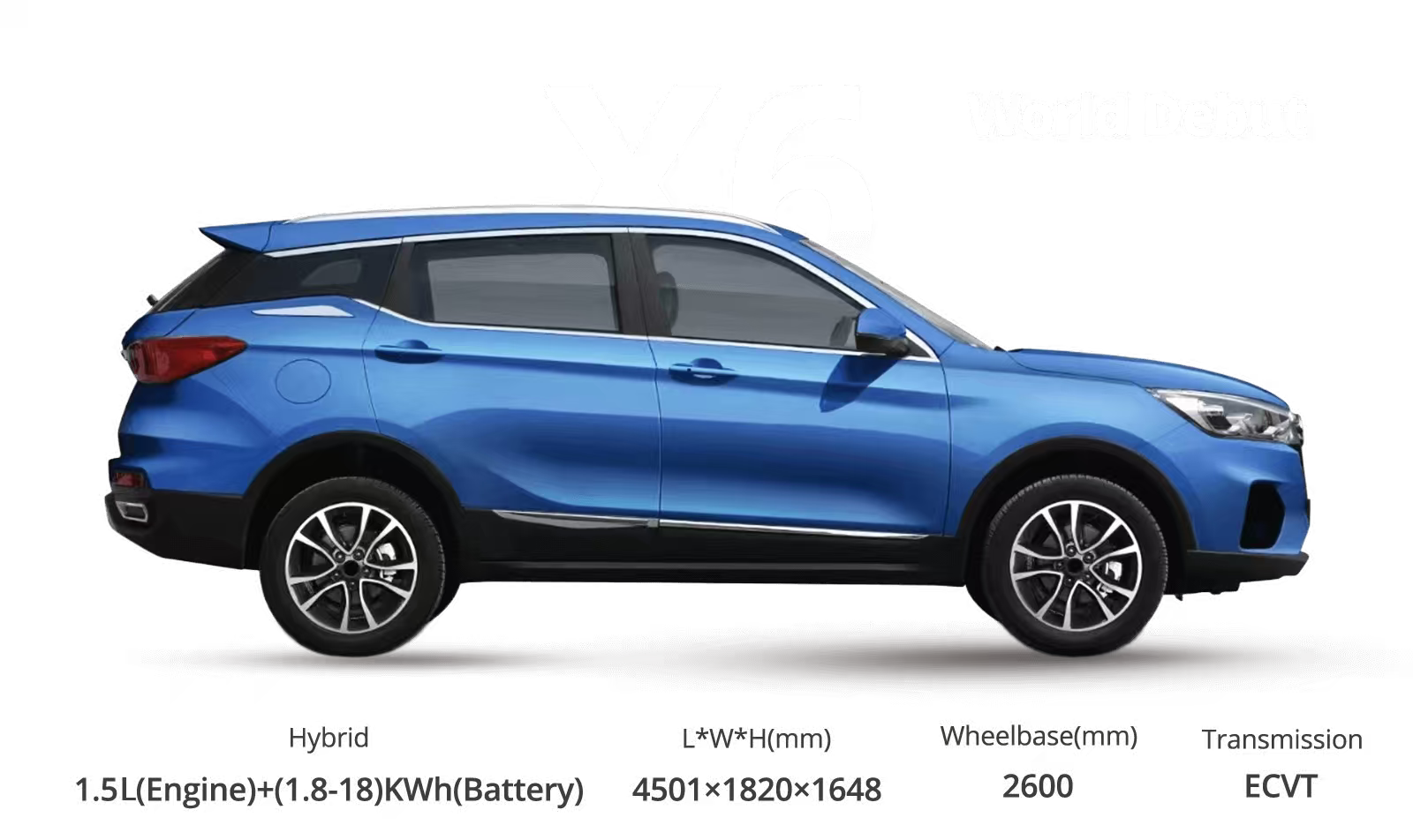 mmexport1757483331895.jpg