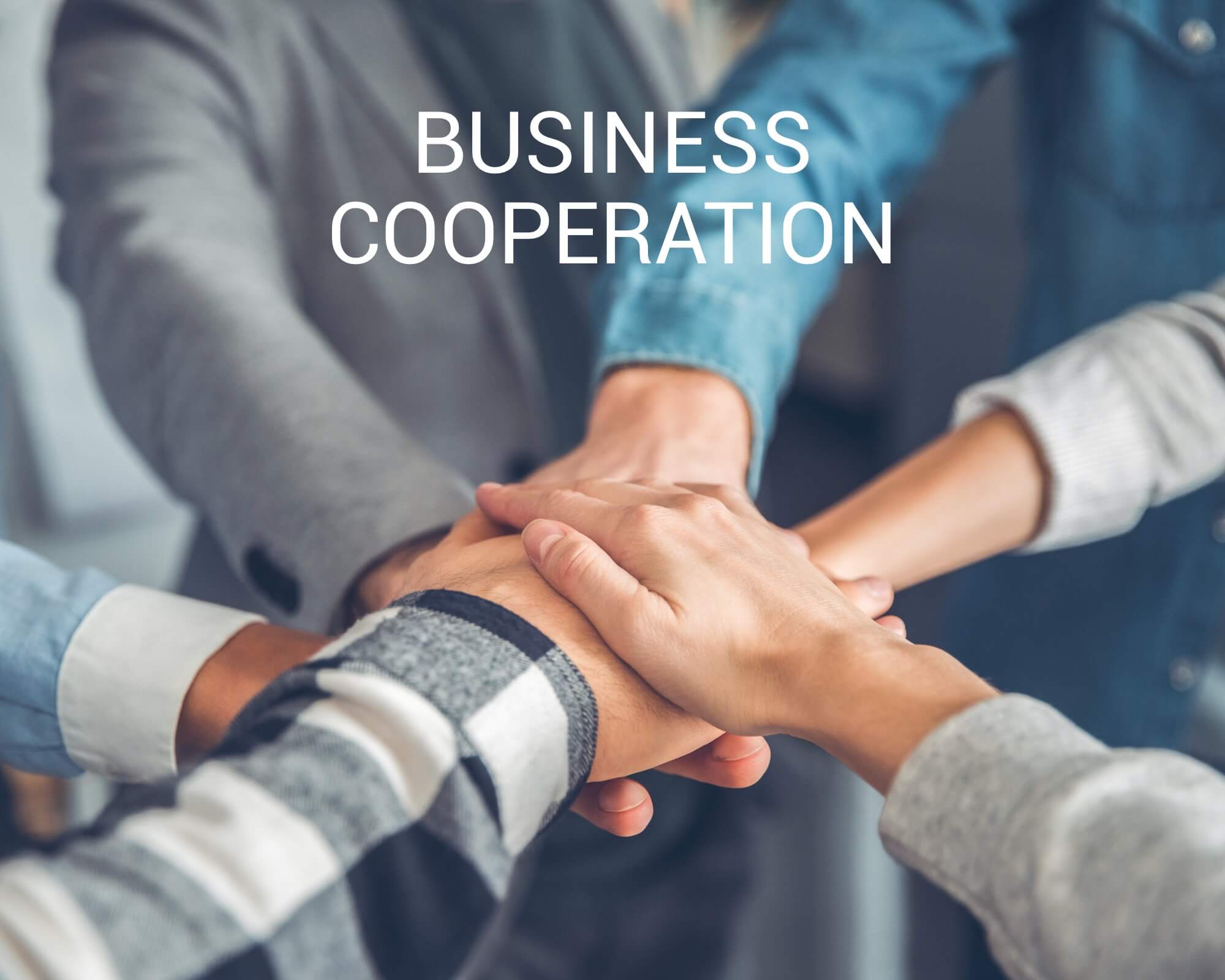  BUSINESS COOPERATION 